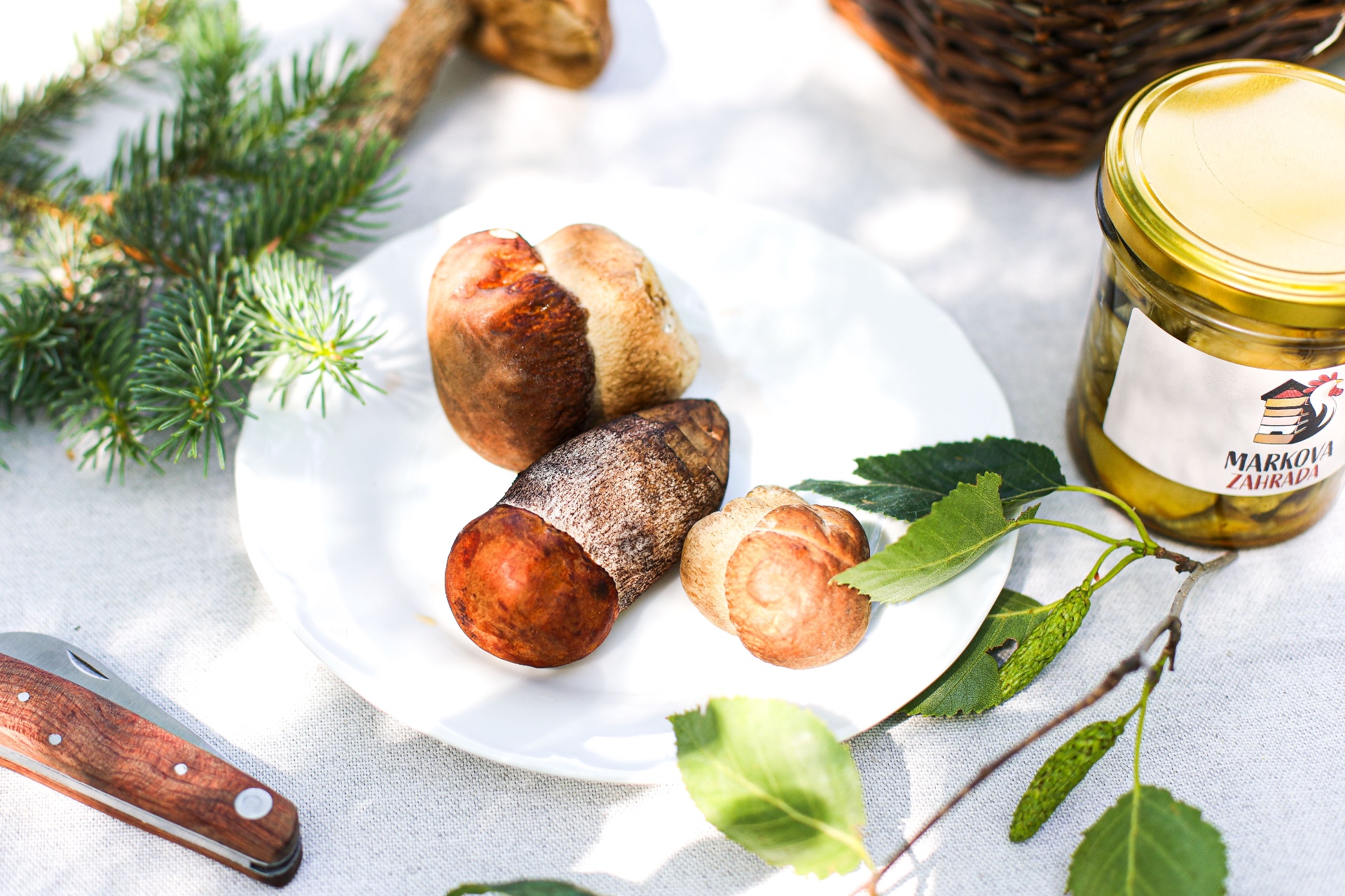Fresh porcini mushrooms on a white plate beside a Markova Zahrada jar, spruce sprigs and a wooden-handled knife